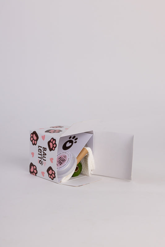 PET WELCOME BOX - BAU LETTO